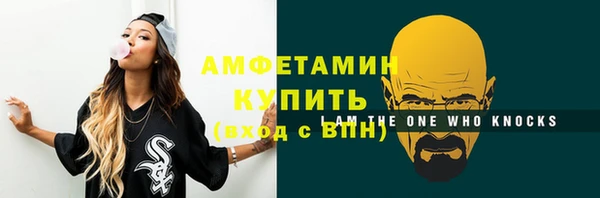 мет Бородино